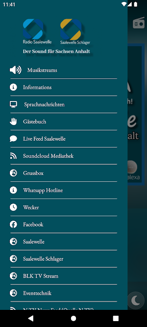 Saalewelle Screenshot 0