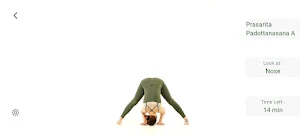 Ashtanga Yoga Home Screenshot 0
