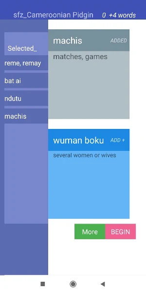StartFromZero_Cameroonian Pidgin Screenshot 3