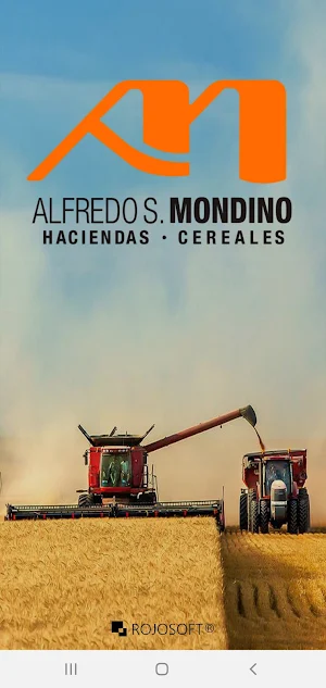 Alfredo S Mondino Screenshot 0