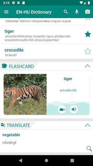 Hungarian English Dictionary Screenshot 0