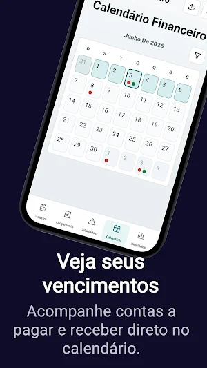 Finance Manager Screenshot 3