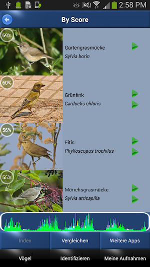 Vogelstimmen Id - Ruf + Gesang Screenshot 0