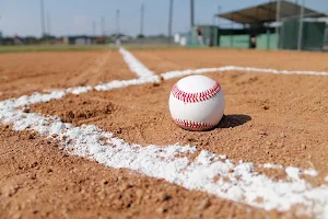 Baseball Organ Sounds screenshot 1