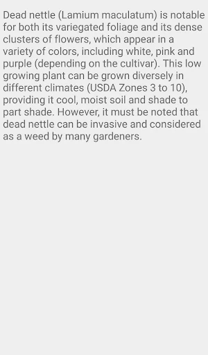 Perennial Ground Covers Screenshot 2