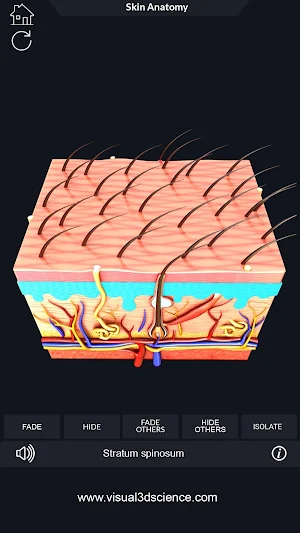 Skin Anatomy Pro. Screenshot 2