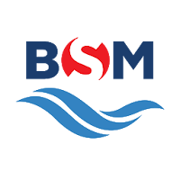 BSM LiveFleet