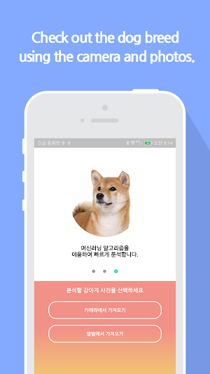 What is your dog? Screenshot 1