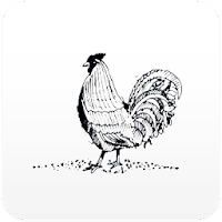 Fjerritslev