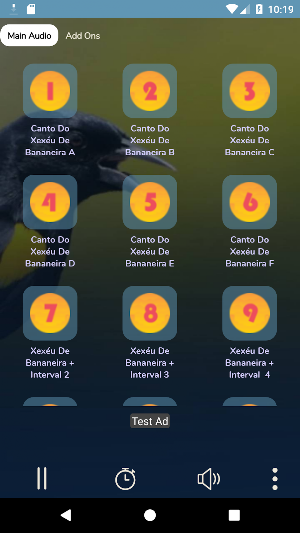 Canto Do Xexéu De Bananeira Screenshot 1