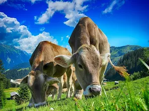 Farming wallpapers Screenshot 2