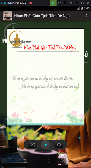 Nhạc Phật Giáo Tịnh Tâm Dễ Ngủ Screenshot 2