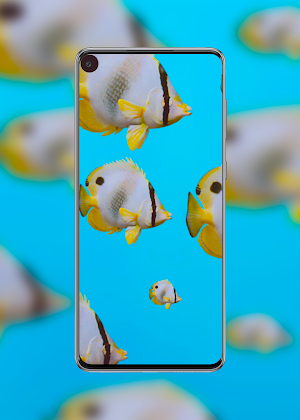 Punch Hole Walls Realme 7 Pro Screenshot 0