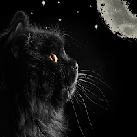 Black Dark Wallpaper 2022
