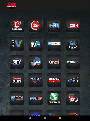 Artı Dijital Medya Screenshot 1