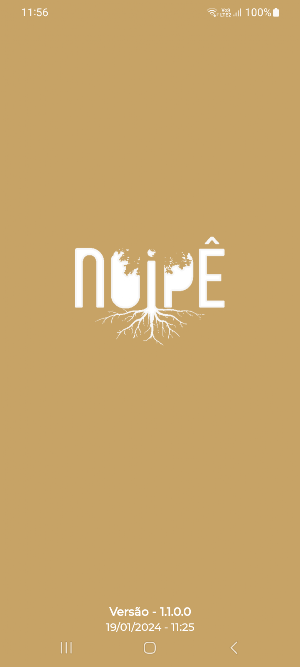 Noipê Screenshot 0