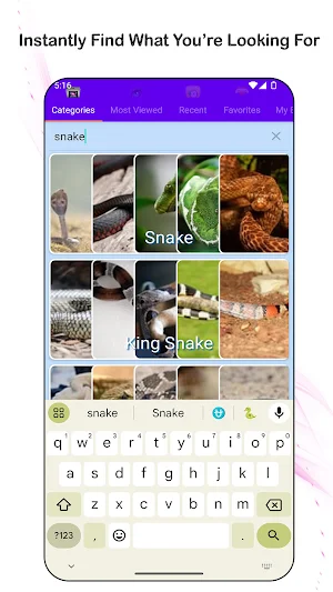 The Amphibian Gallery Screenshot 3