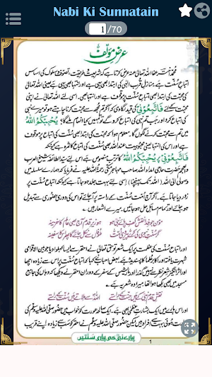 Pyare Nabi(PBUH) ki Sunnatain Screenshot 0