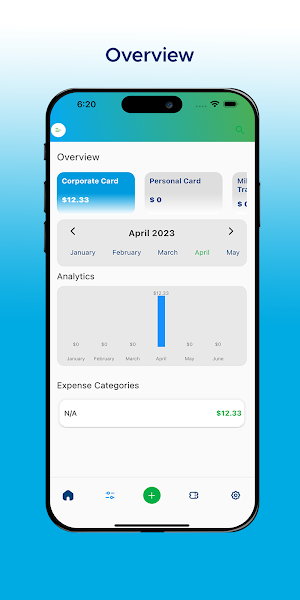 Expense Reporting Screenshot 2