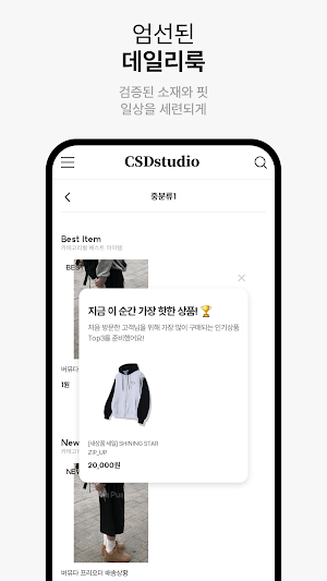 CSDstudio Screenshot 3