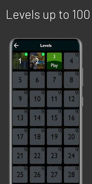 4 Pics 1 Word Screenshot 3