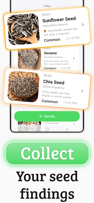 Seed Identifier: Seedorf Screenshot 2