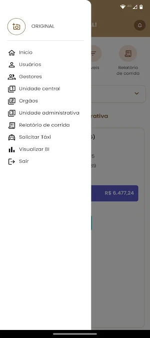 Vip Gestor Screenshot 2