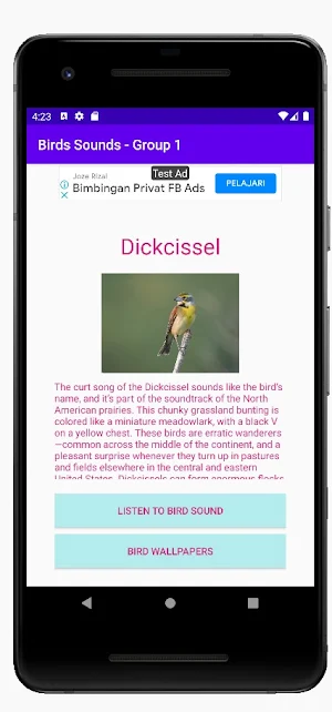 Birds Sounds - Group 1 Screenshot 2