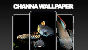 Channa Fish Wallpapers Screenshot 1
