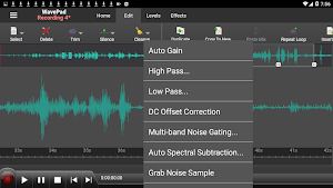 WavePad Audio Editor Free Screenshot 3