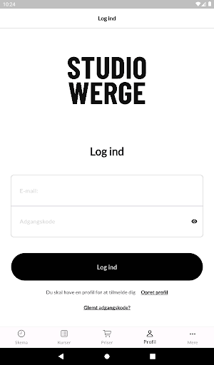 Studio Werge Screenshot 2