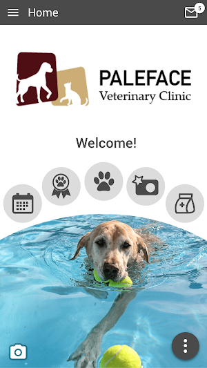 Paleface Vet Clinic Screenshot 0