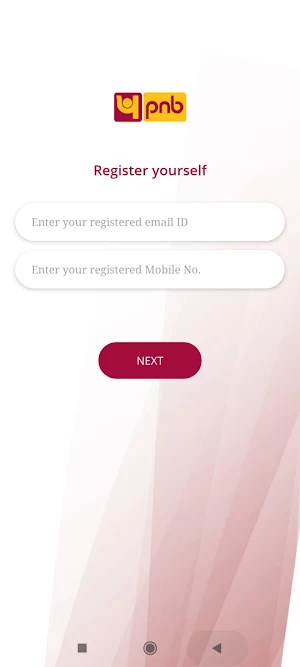 PNB Merchant Pay Screenshot 0
