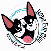 Hope For Cleo Animal Rescue