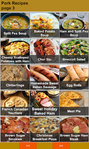 150 Best Pork Recipes Offline Screenshot 1