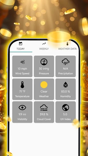 Crown Forecast Screenshot 3