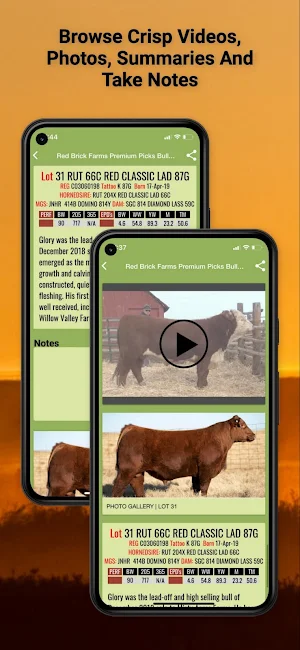 Livestock Sales App Screenshot 3