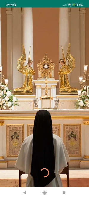 Carmelite Sister Reflections Screenshot 0