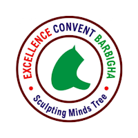 Excellence Convent School