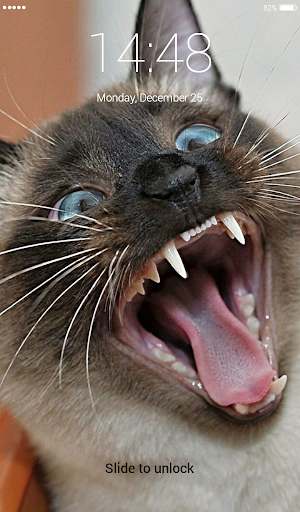 Cat breeds Lock Screen Wallpap Screenshot 3