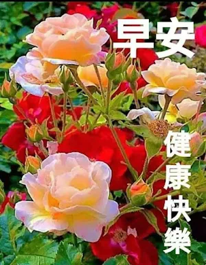 早安賀卡 Screenshot 2