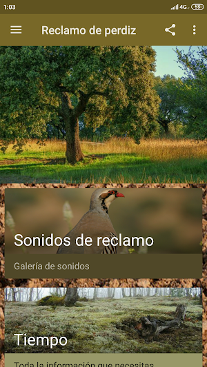Perdiz's Claim Screenshot 2