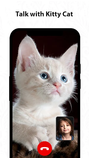 Cat fake video Call/Chat Prank Screenshot 3