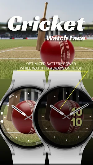 Cricket (Animated) Screenshot 2