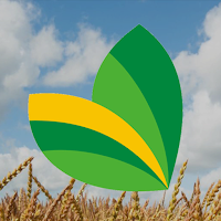 Agroinsumos ByL S.A.