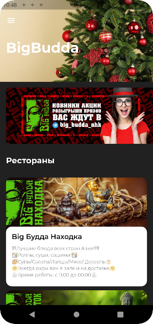 BigBudda Screenshot 0