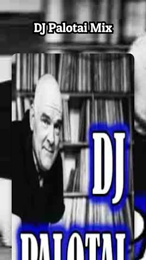 DJ Palotai Mix Screenshot 0