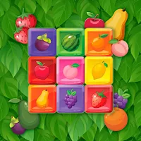 Fruit Block Puzzle