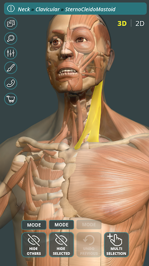 Visual Anatomy 3D | Human Screenshot 0