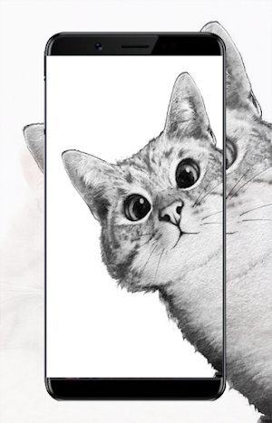 Cats Wallpaper Screenshot 2